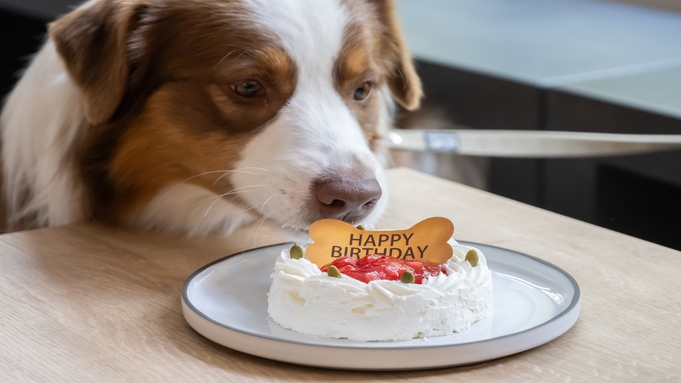 大切な愛犬との記念日に・・・アニバーサリープラン 《 朝食付 》